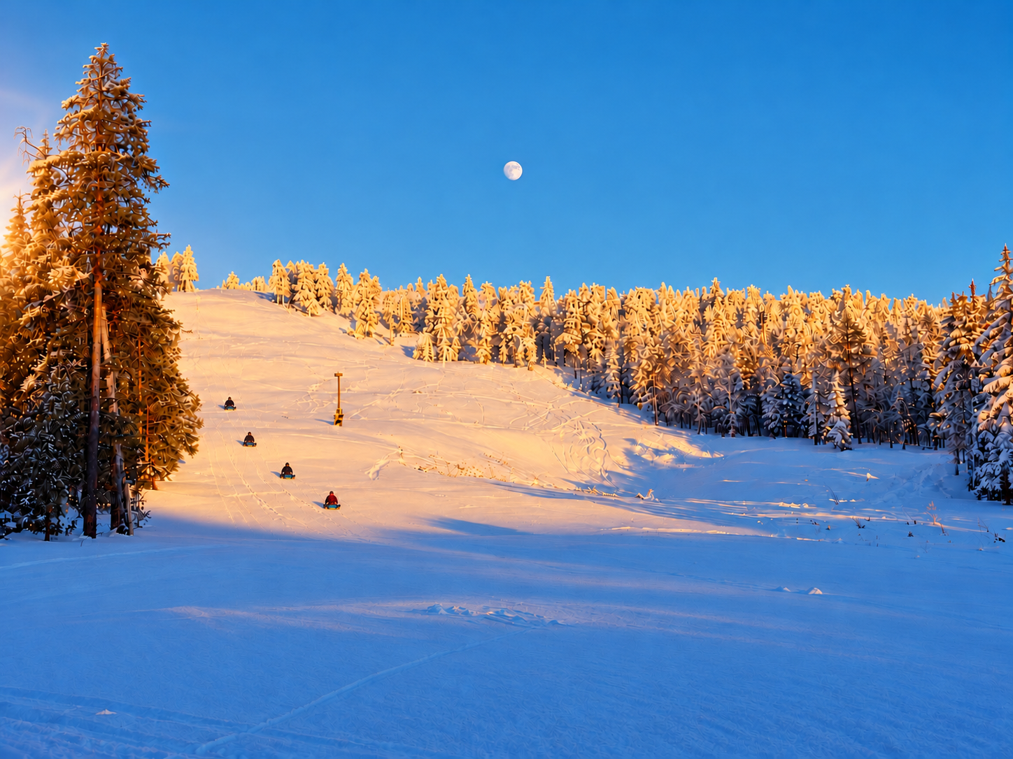 Sledding at Karu Lodge in Luosto, Lapland, surrounded by snowy forest.